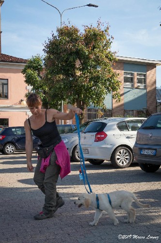 PRIMA LEZIONE GUINZAGLIO